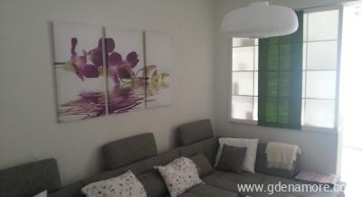 Wohnung Adrian, Privatunterkunft im Ort Ba&scaron;ka Voda, Kroatien